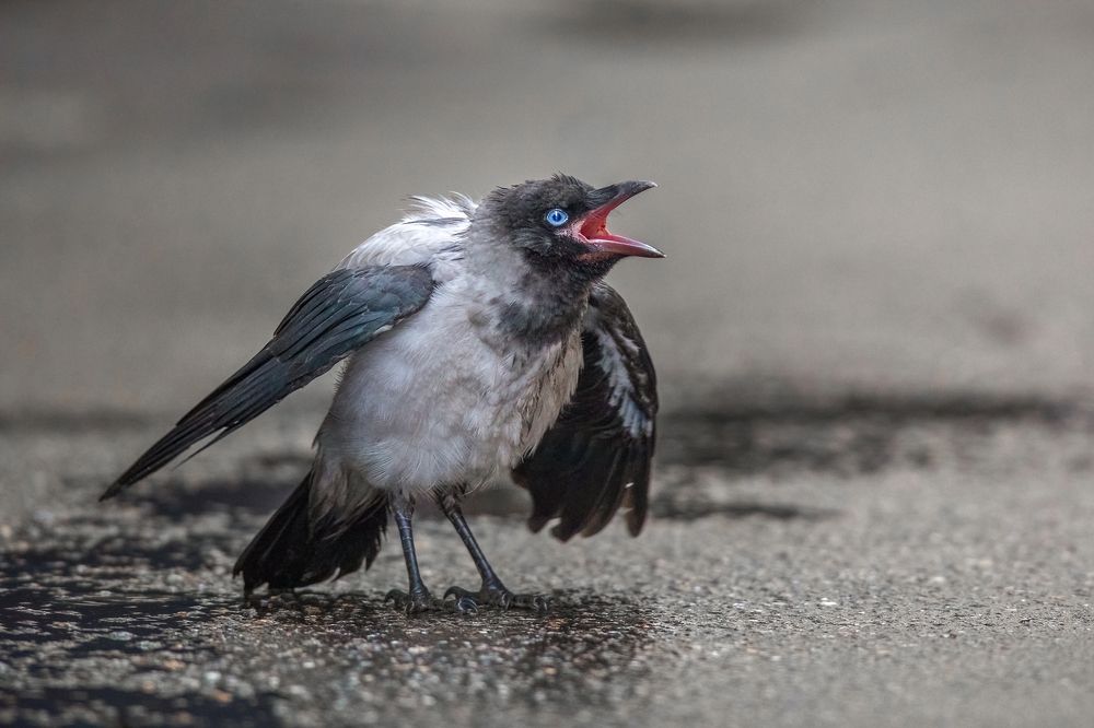 Photograph by Власов Егор