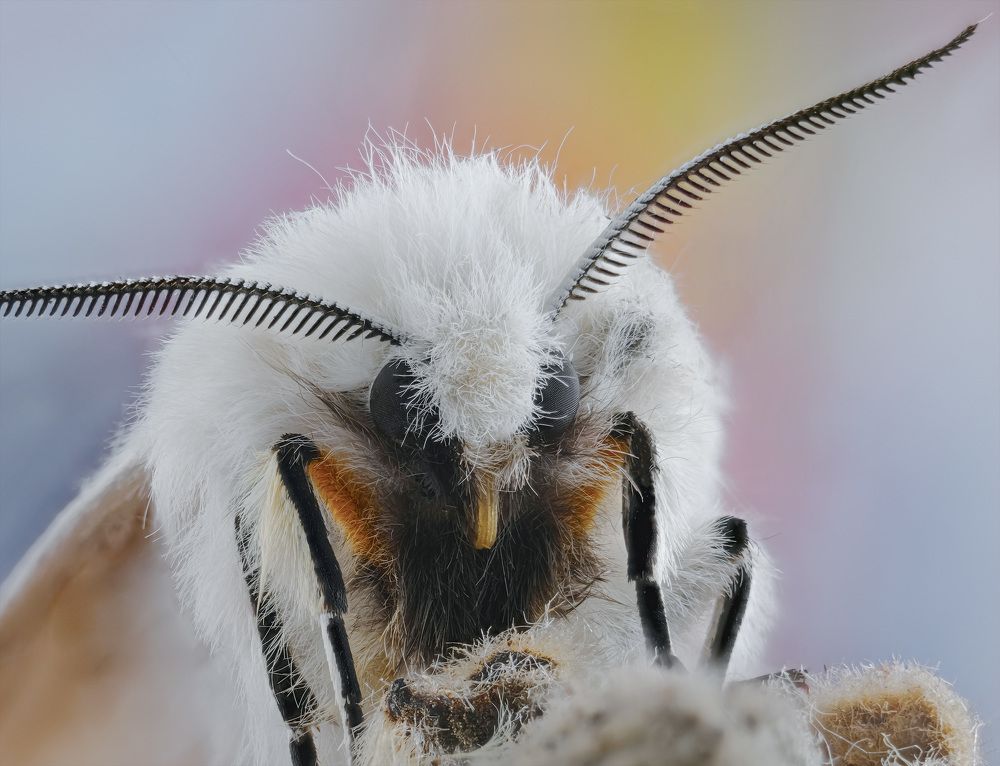 Photograph by Юрий Юрьевич Подгрушный