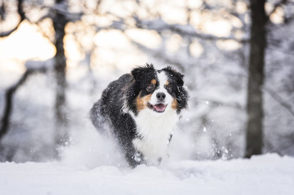 Photograph by Ирина Голомб