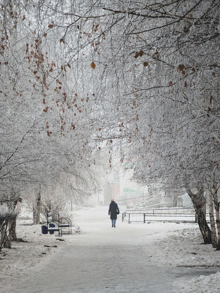 Photograph by Ишниязов Марсель