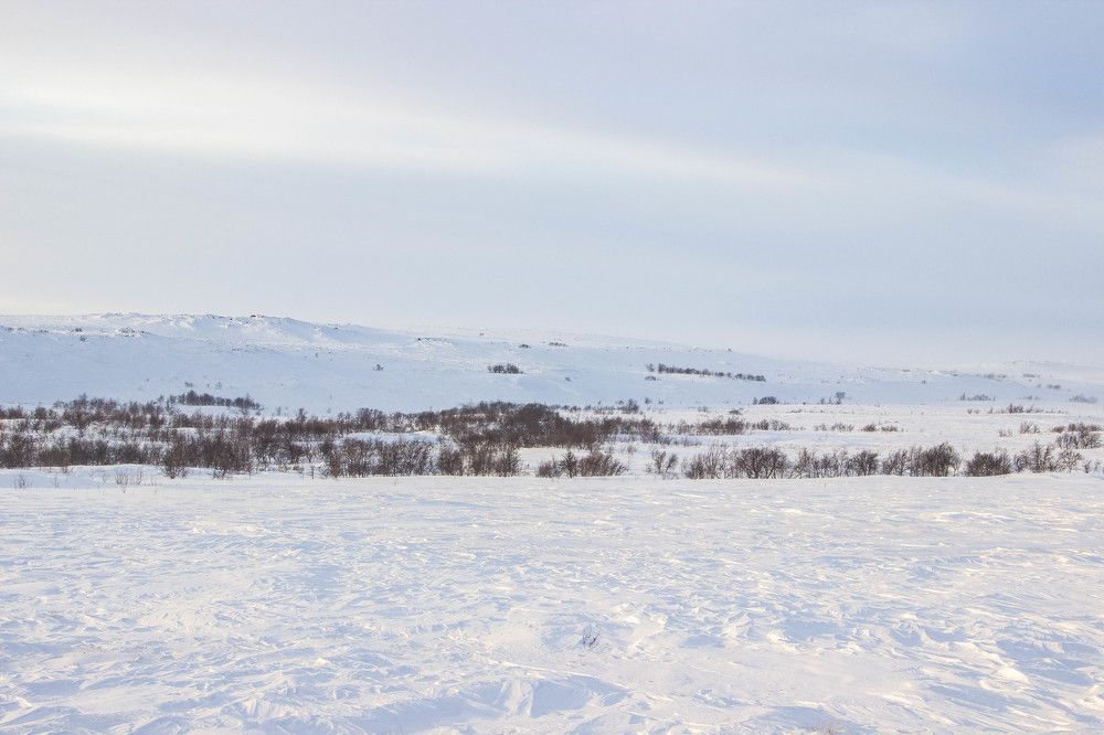 Photograph by Alina Bystrova