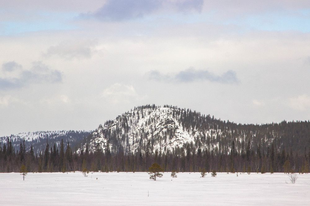 Photograph by Alina Bystrova