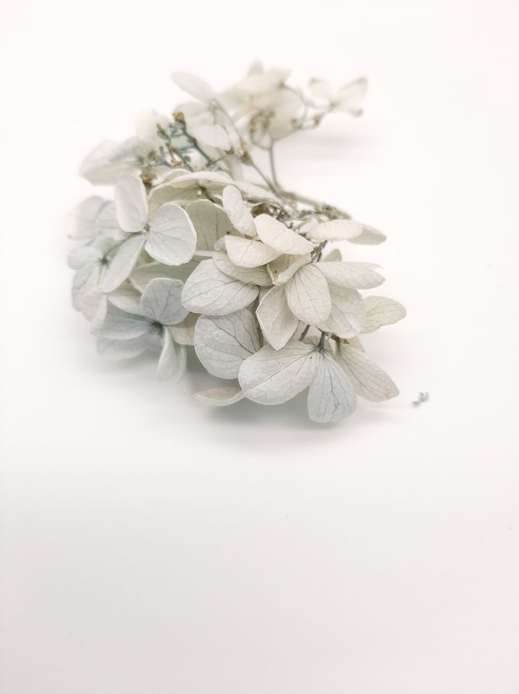 Фотография автора Светлана Дунаева