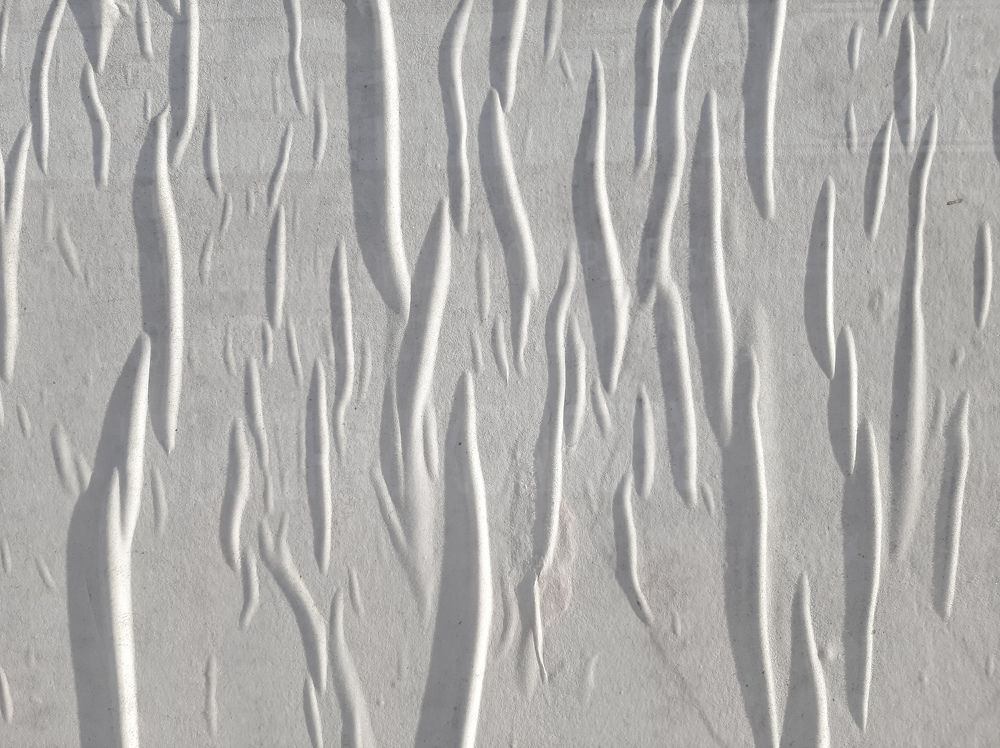 Фотография автора Светлана Дунаева