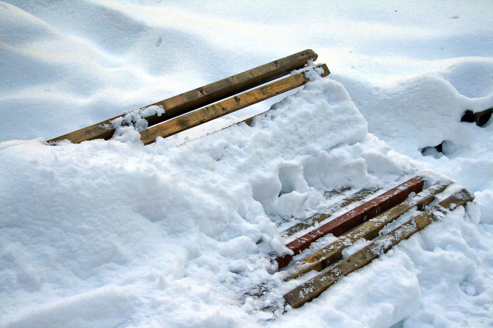 Photograph by Алексей Зимин