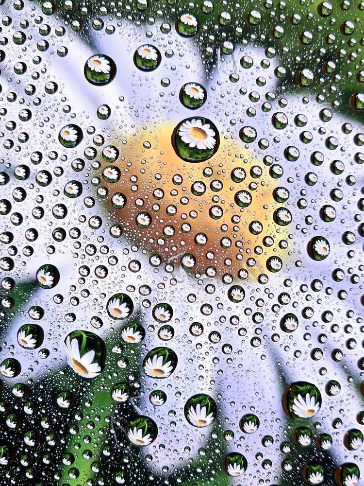 Photograph by Елена Ласун