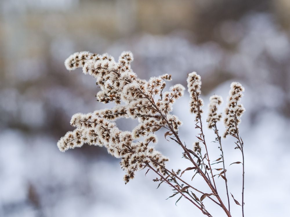 Photograph by Сергей Гуров