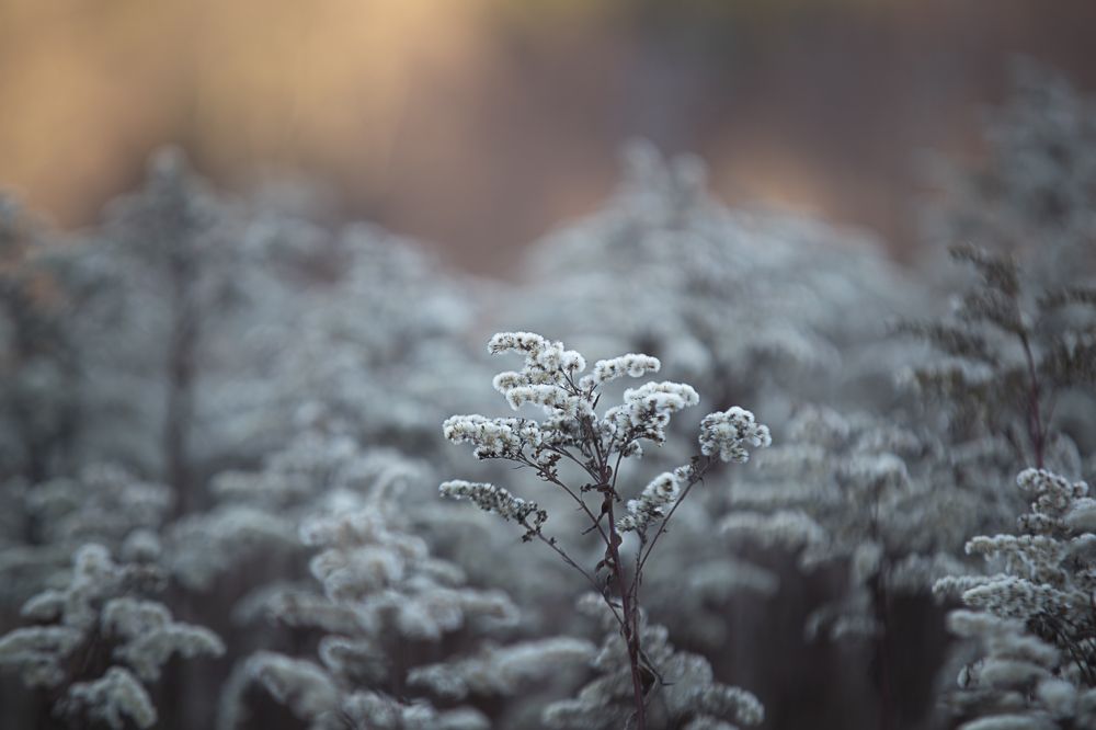 Morning colors.