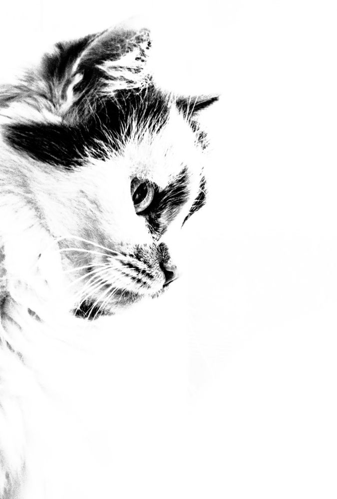 Photograph by Марина Канавченко