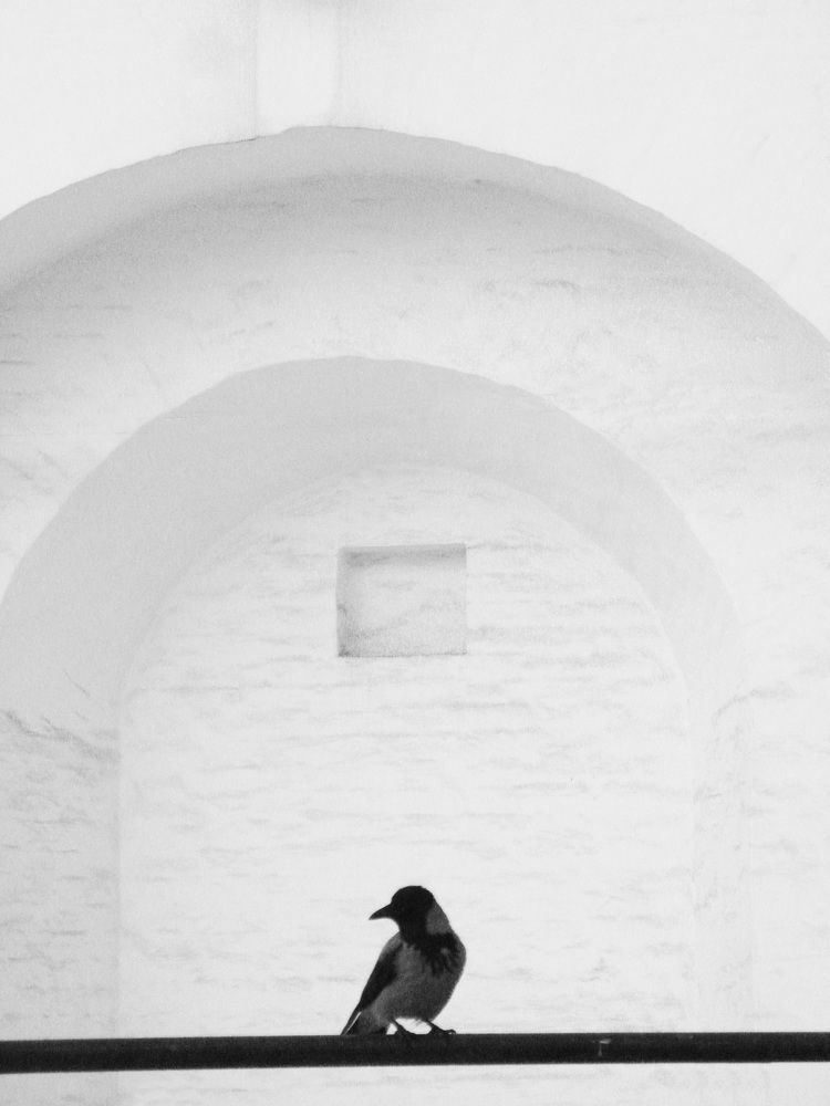 Фотография #11411733