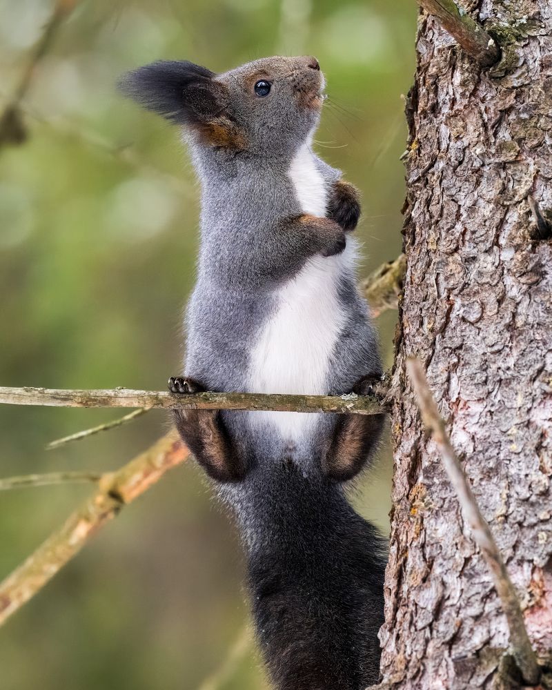 Photograph by Екатерина Дубровская