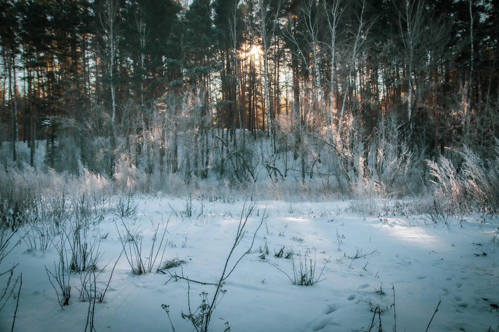 Photograph by Юрий Десятов