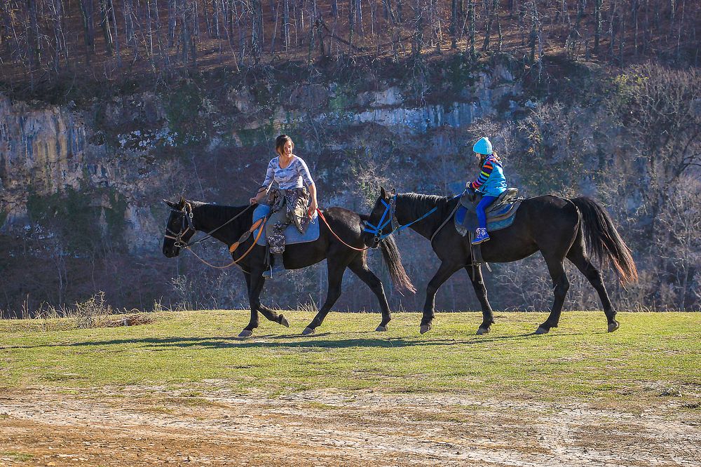 Фотография автора Татьяна Сергиенко
