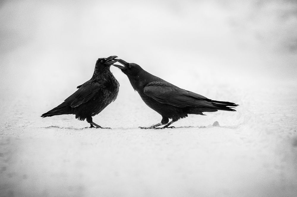 Photograph by  Marina