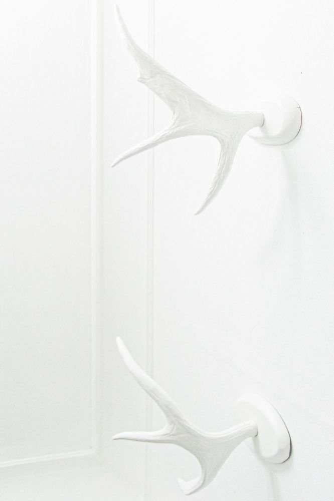 Фотография автора Алиса Исаева