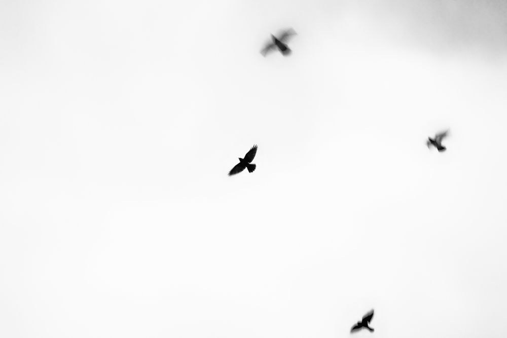 Photograph by Андрей Шелуков