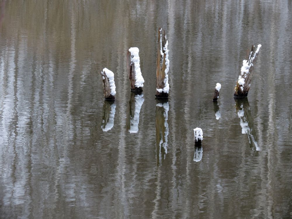 Photograph by Андрей Осмоловский