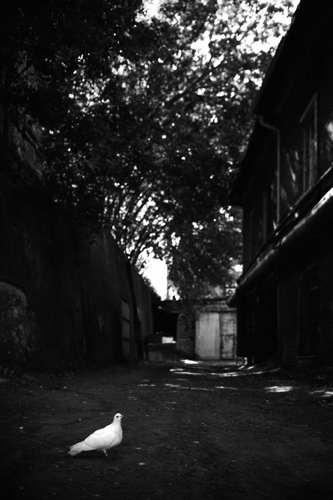 Photograph by Андрей Шелуков