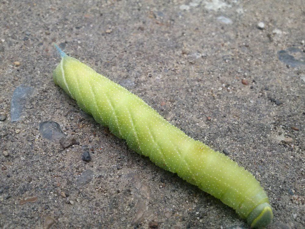 Photograph by Денис Хасанов