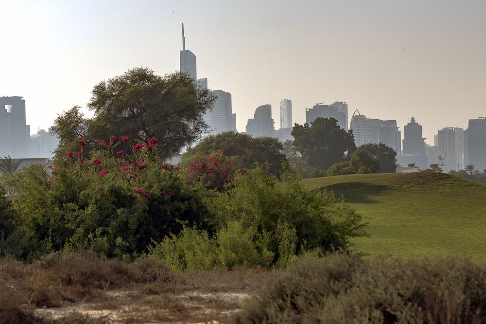 Photograph by Демьян Лопатов