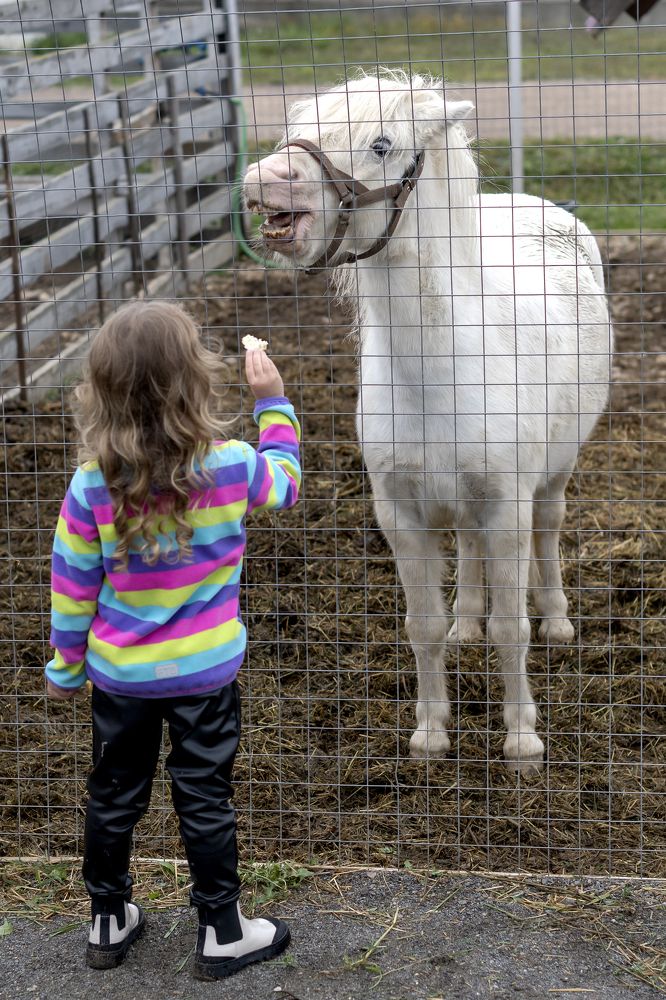 Photograph by Демьян Лопатов
