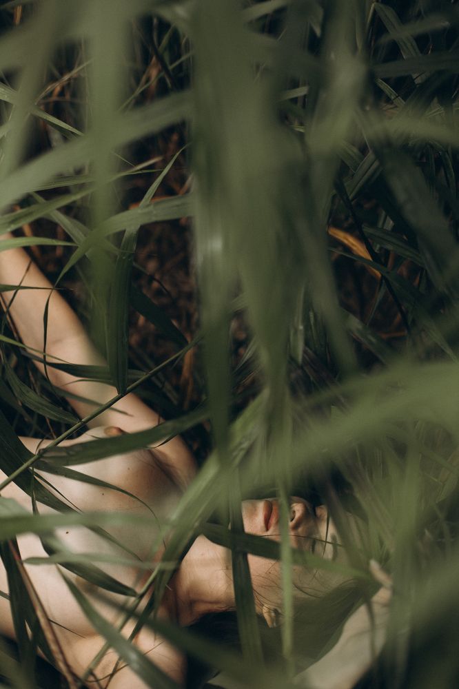 Photograph by Любовь Молчанова