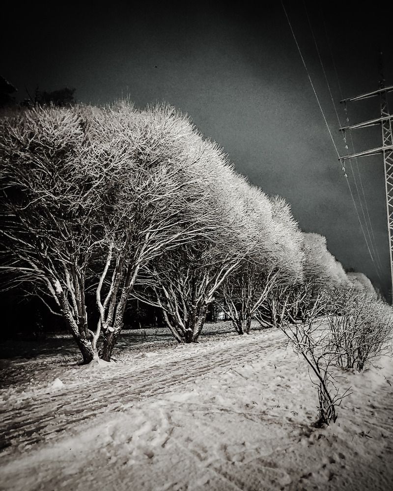 Photograph by Марина Бедрина