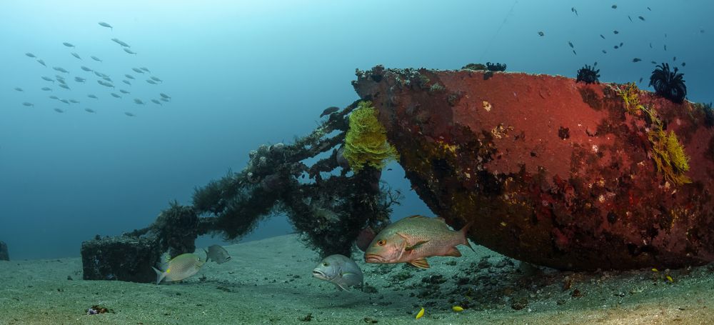 Photograph by Савин Андрей