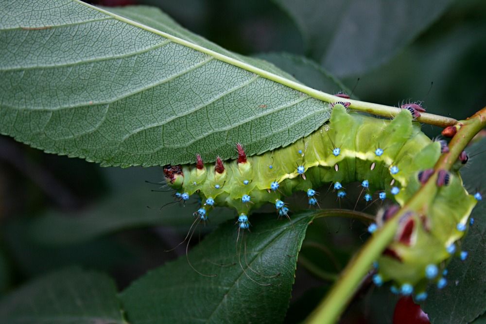 Photograph by Виктория
