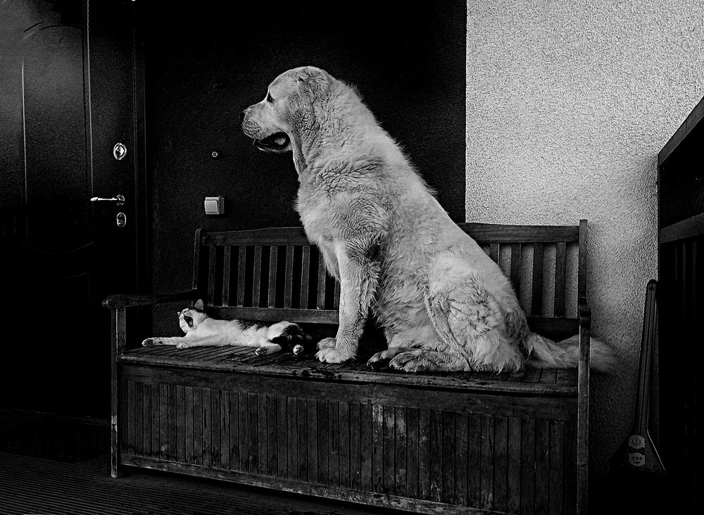 Photograph by Житецкий Игорь