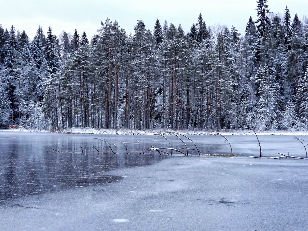 Предзимье