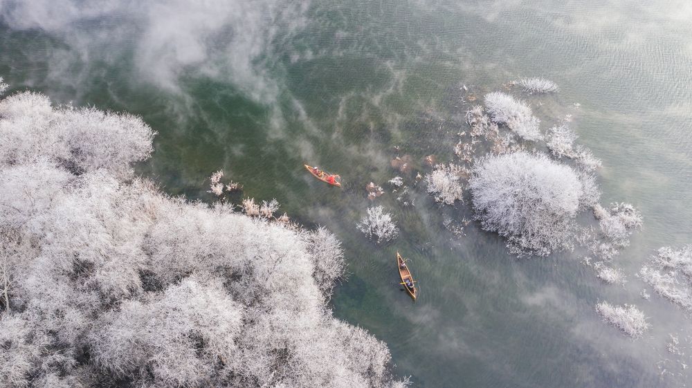 Фотография автора NGUYEN XUAN BAC