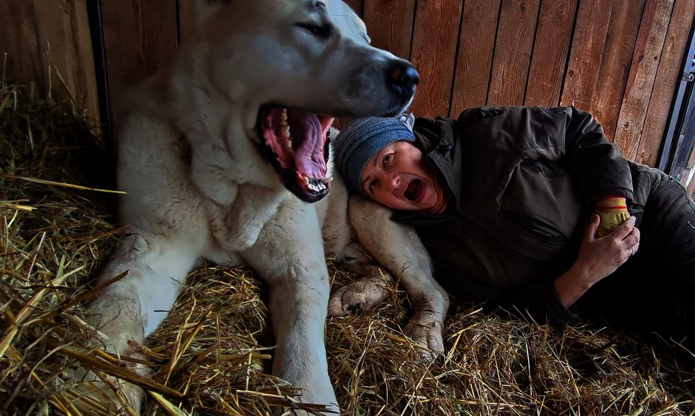 Photograph by Житецкий Игорь