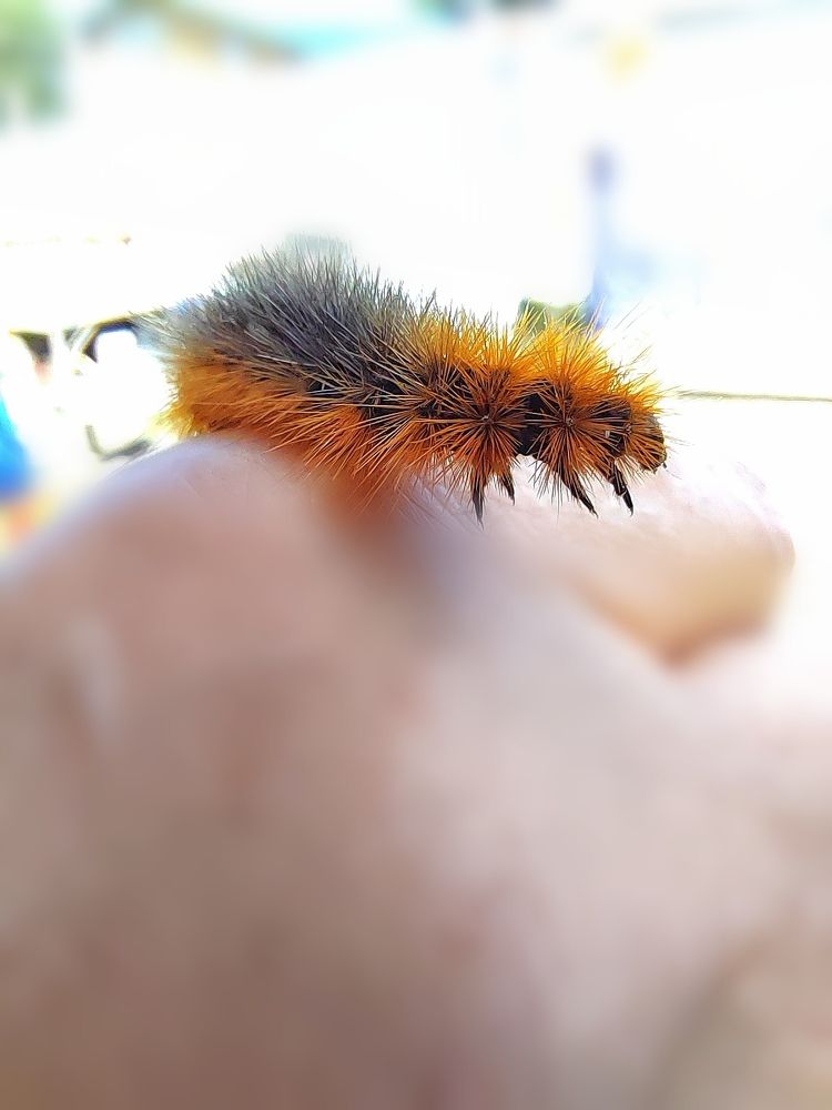 Photograph by Серёга Ануфриев