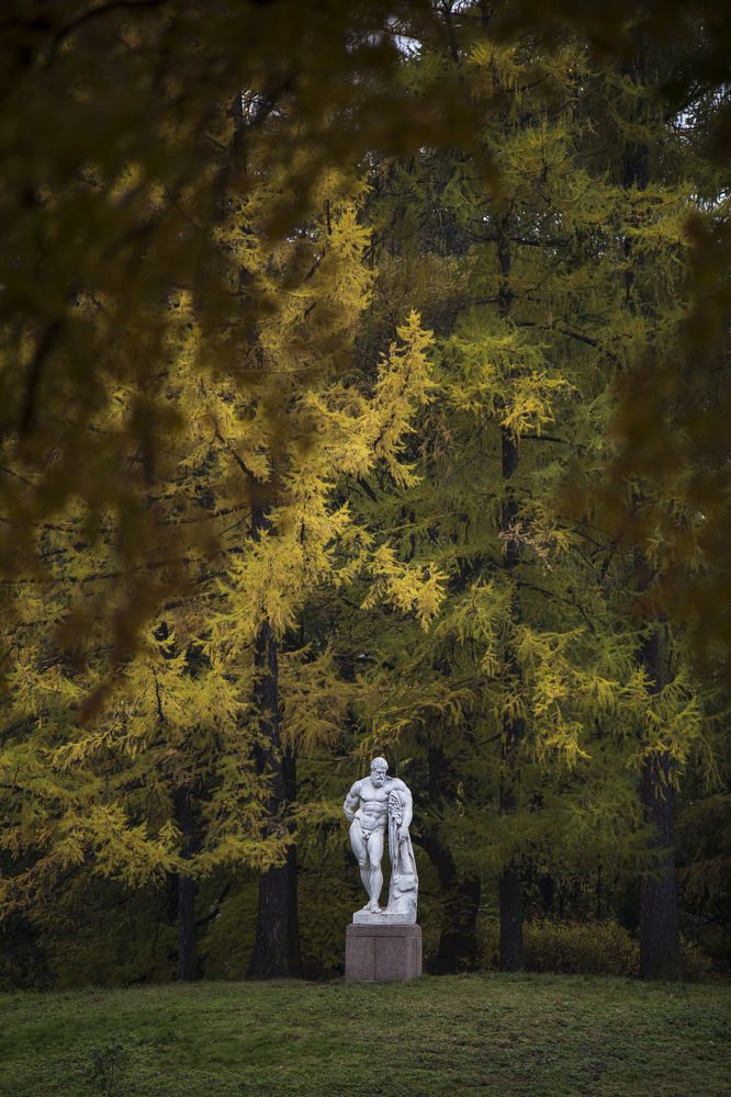 Photograph by Sergei Komlev