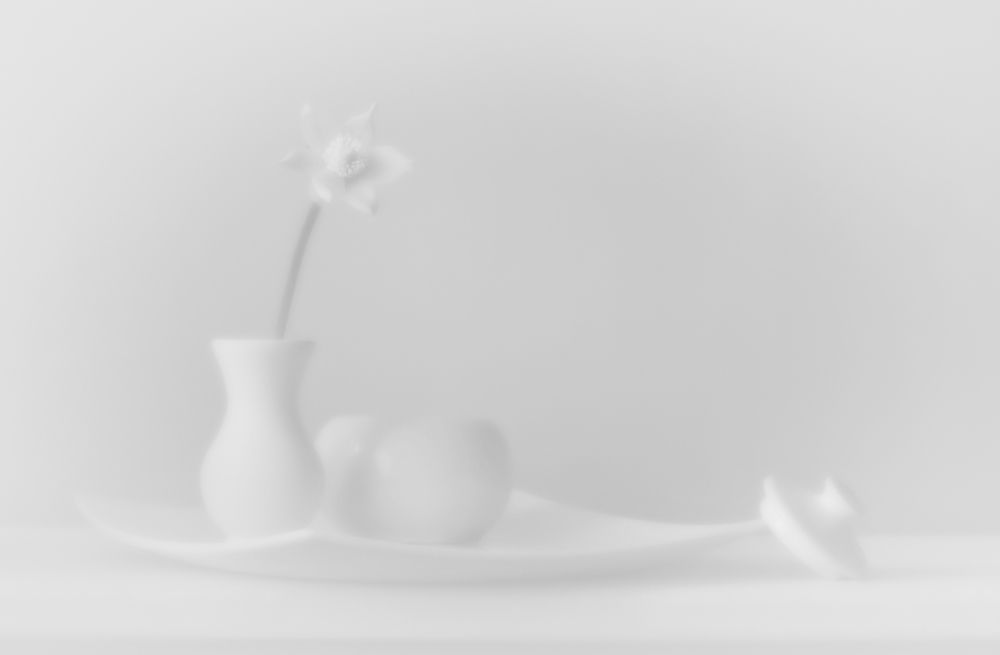 Белый натюрморт