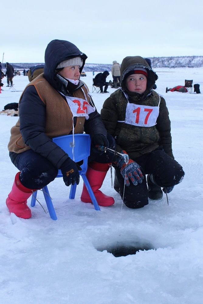 Photograph by Александр Велигура