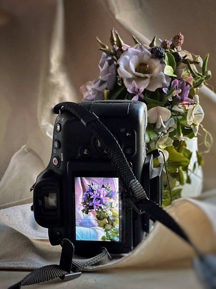 Photograph by Елена Мулькова