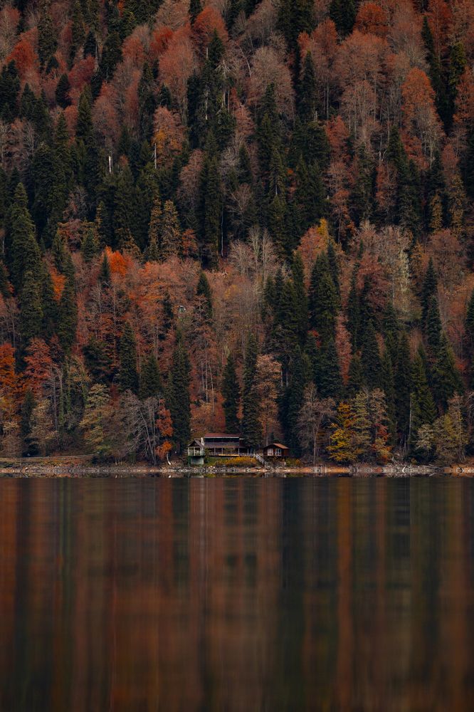 Photograph by Дмитрий Ефимов