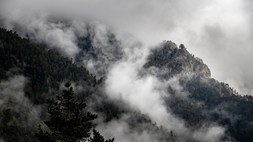 Photograph by Александр Ермаков