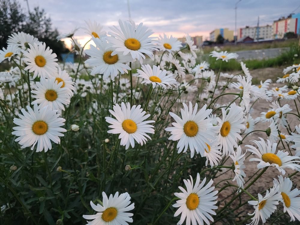 Фотография автора Казакова Людмила Ивановна