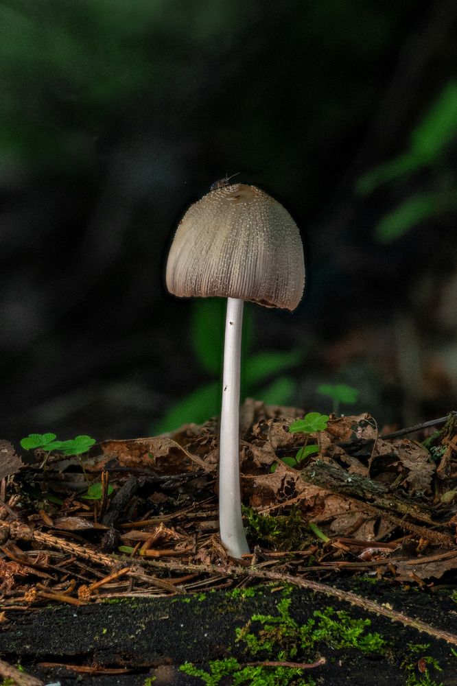 Photograph by Дмитрий Ефимов