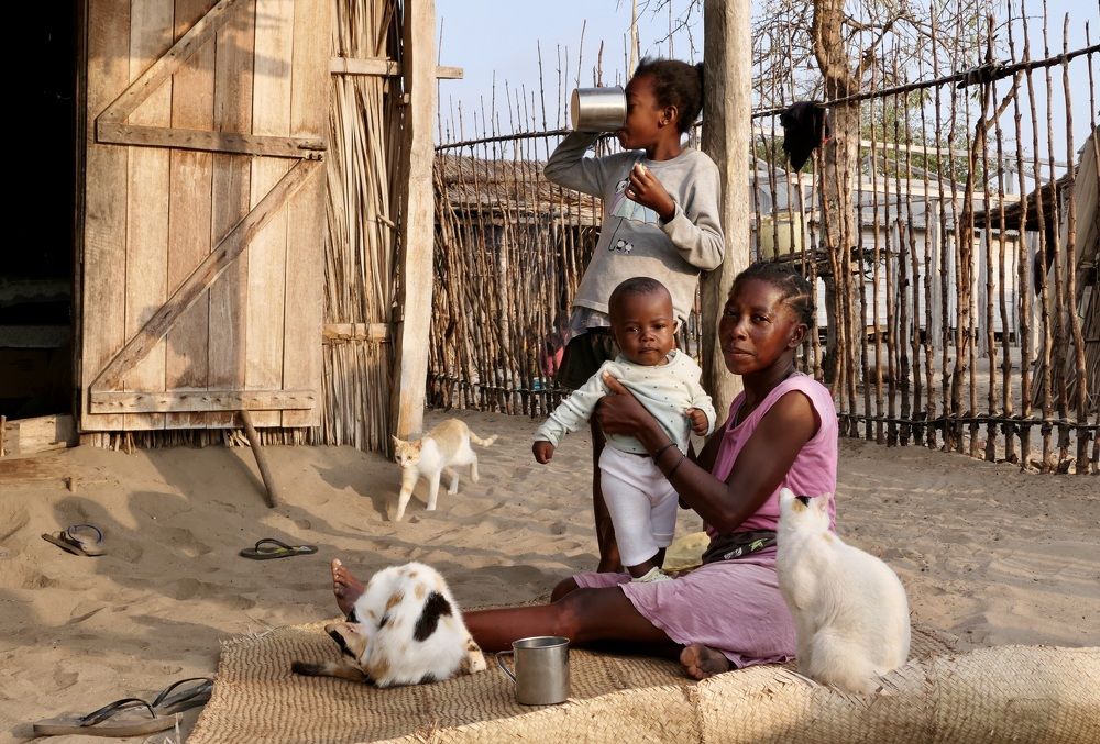 Morning in the village