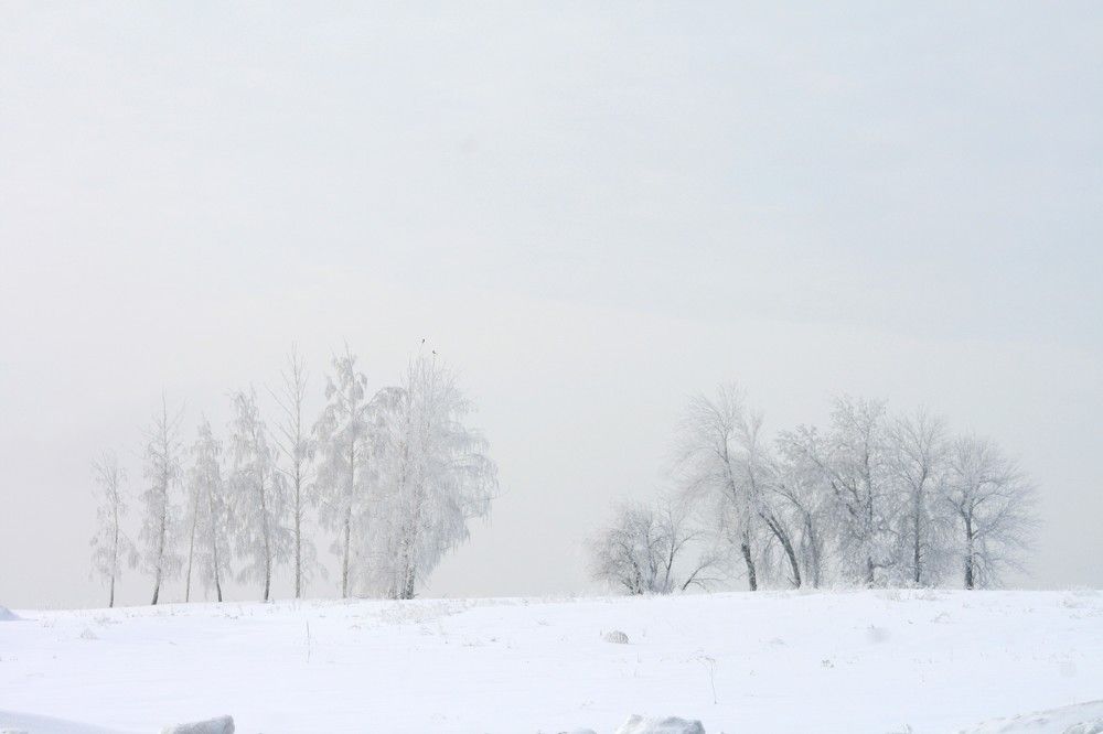 Фотография автора Татьяна Шебаршенко