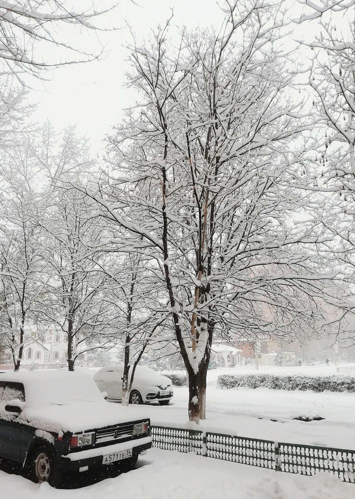 Photograph by Дарья Колесниченко