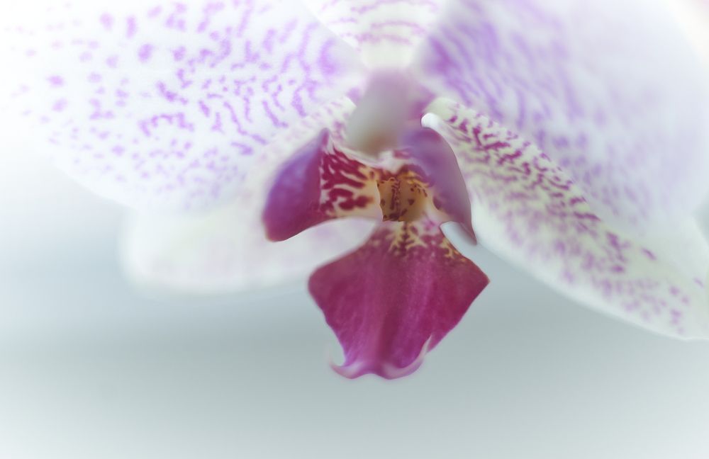 Photograph by Михаил