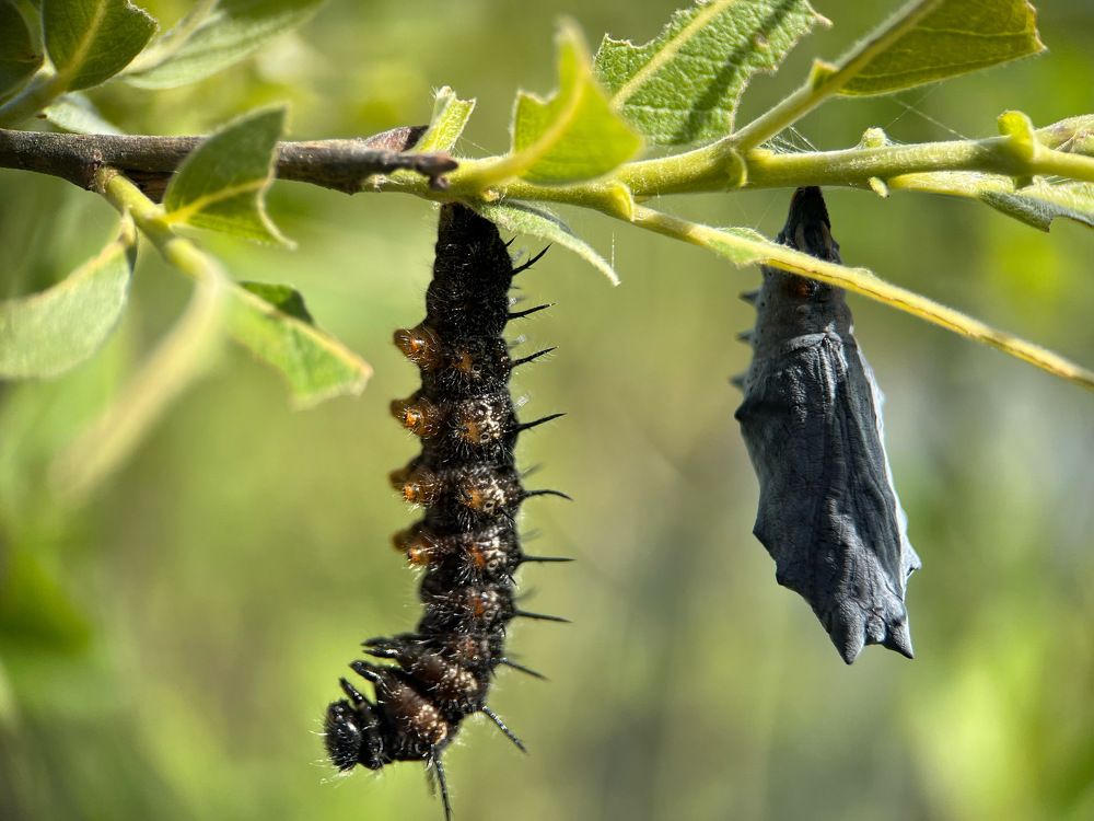 Photograph by Юлия Отставнова