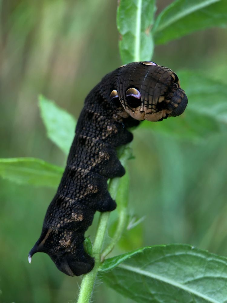 Photograph by Юлия Отставнова