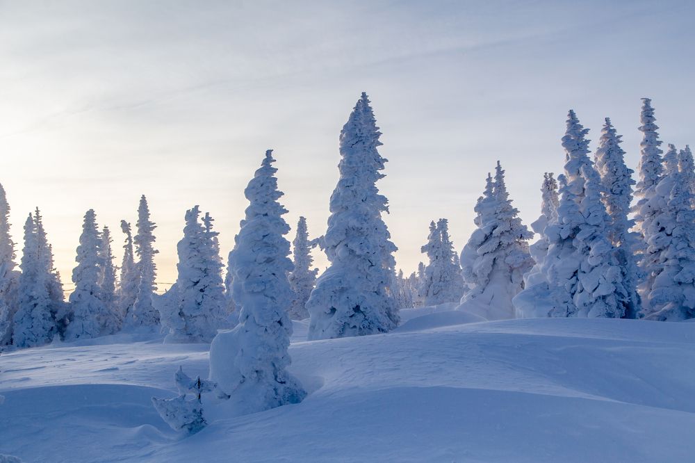 Photograph by Семенов Александр