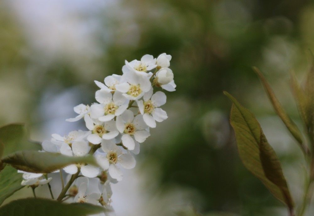 Photograph by Елена Федорова